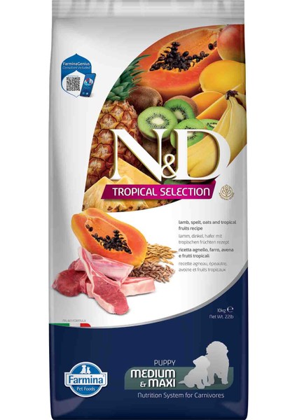 Nd Tropical Selection Köpek 10KG Medium Maxi Puppy Kuzu Etli Tropikal Meyveli Büyük Irk Yavru Köpek Maması