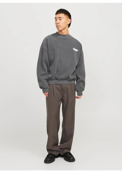 Bisiklet Yaka Koyu Gri Erkek Sweatshırt 12266178_JORRIDGEWOOD Wash Sweat Cr