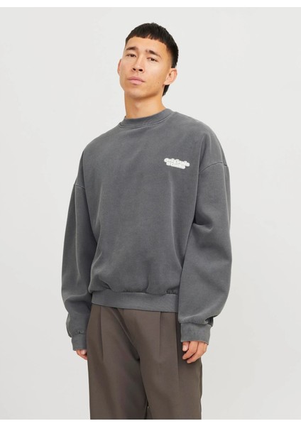 Bisiklet Yaka Koyu Gri Erkek Sweatshırt 12266178_JORRIDGEWOOD Wash Sweat Cr fiyatları