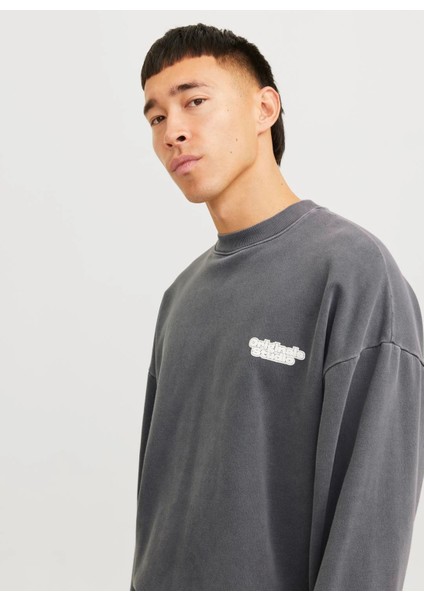 Bisiklet Yaka Koyu Gri Erkek Sweatshırt 12266178_JORRIDGEWOOD Wash Sweat Cr modelleri