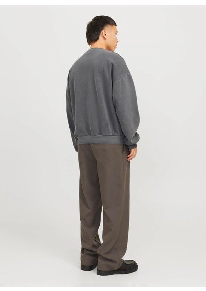 Bisiklet Yaka Koyu Gri Erkek Sweatshırt 12266178_JORRIDGEWOOD Wash Sweat Cr fırsatları