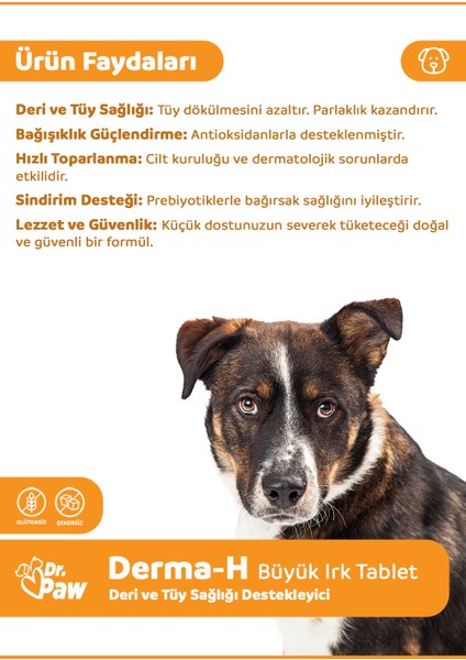 Derma H Plus Büyük Irk Köpekler için Glütensiz ve Şekersiz Tüy ve Cilt Sağlığı Destekleyici Çiğnenebilir Tablet (60 Tablet, 120 gr)