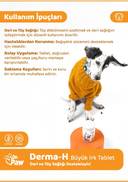 Derma H Plus Büyük Irk Köpekler için Glütensiz ve Şekersiz Tüy ve Cilt Sağlığı Destekleyici Çiğnenebilir Tablet (60 Tablet, 120 gr)