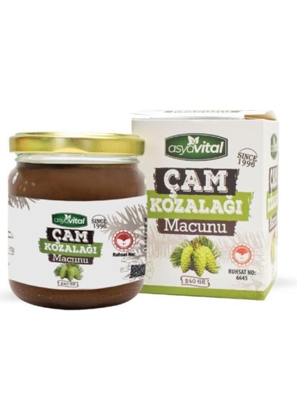 Asya Vital Çam Kozalağı Macunu 240 gr