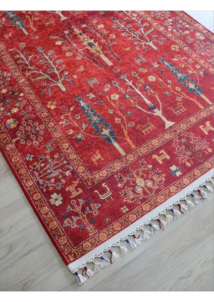 Arte Halı Dekoratif Örgü Saçaklı Salon Halısı Makinada Yıkanabilir Kaymaz Taban Kilim Koridor Yolluk