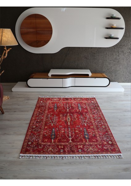 Arte Halı Dekoratif Örgü Saçaklı Salon Halısı Makinada Yıkanabilir Kaymaz Taban Kilim Koridor Yolluk