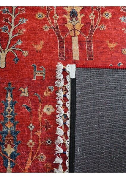 Arte Halı Dekoratif Örgü Saçaklı Salon Halısı Makinada Yıkanabilir Kaymaz Taban Kilim Koridor Yolluk