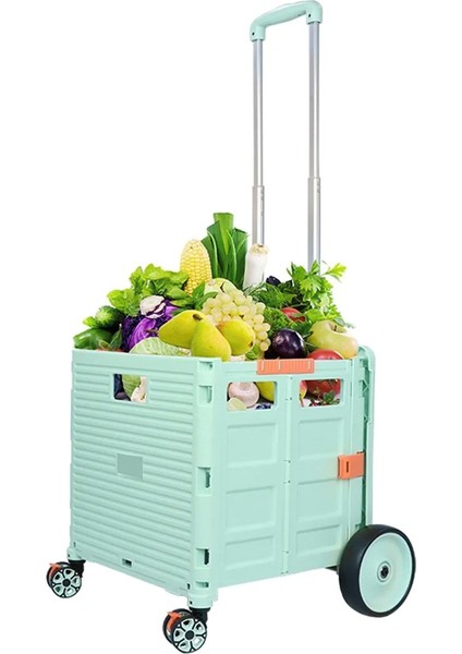 Katlanabilir Portatif Pazar ve Market Arabası 40 kg fiyatları