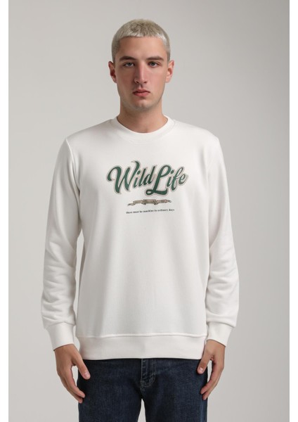 Bisiklet Yaka Ekru Slim Fit Sweatshirt 24FWM60195 fiyatları