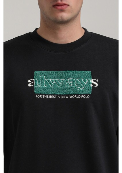 Bisiklet Yaka Lacivert Slim Fit Sweatshirt 24FWM60201 fiyatları