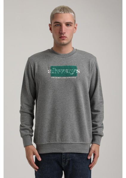 Bisiklet Yaka Lacivert Slim Fit Sweatshirt 24FWM60201