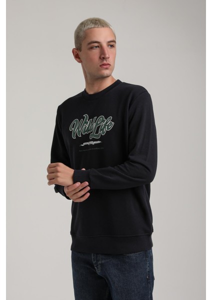 Bisiklet Yaka Ekru Slim Fit Sweatshirt 24FWM60195 modelleri