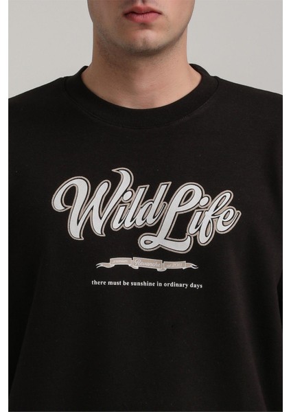 Bisiklet Yaka Ekru Slim Fit Sweatshirt 24FWM60195 fırsatları