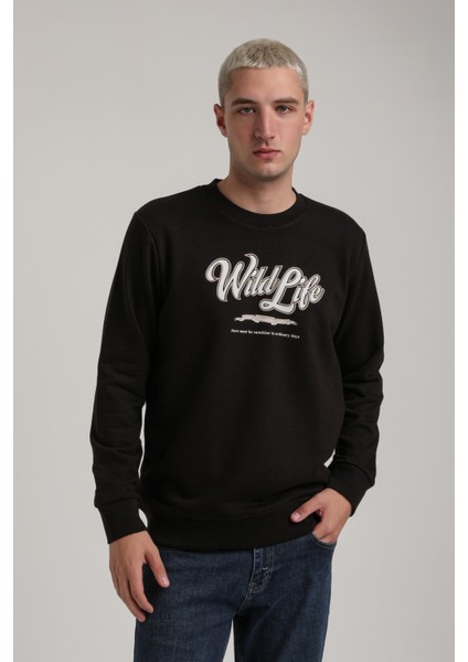 Bisiklet Yaka Ekru Slim Fit Sweatshirt 24FWM60195 indirimleri