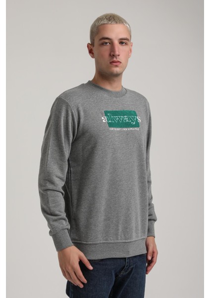 Bisiklet Yaka Lacivert Slim Fit Sweatshirt 24FWM60201 modelleri