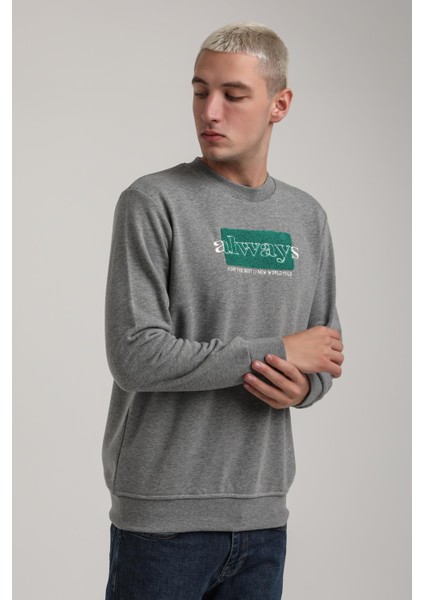 Bisiklet Yaka Lacivert Slim Fit Sweatshirt 24FWM60201 indirimleri