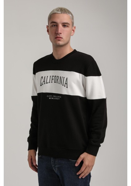 Bisiklet Yaka Ekru Slim Fit Sweatshirt 24FWM60203 modelleri