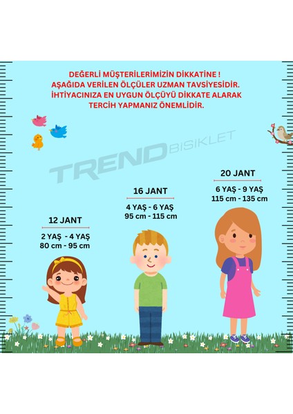 Trendbike Trendy Girl 20 Jant Bisiklet 6-10 Yaş Kız Çocuk Bisikleti