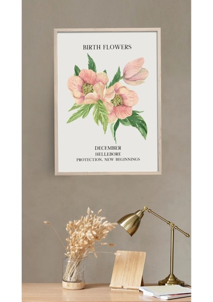 Çerçeveli, Aralık Ayı Çiçeği Tablo, Karaca Otu Çiçeği Posteri, Pinterest Tarzı Duvar Dekorasyonu