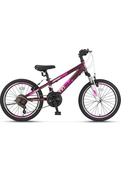 Ümit Luna 24'' 21V Vb Dağ Bisikleti Mürdüm