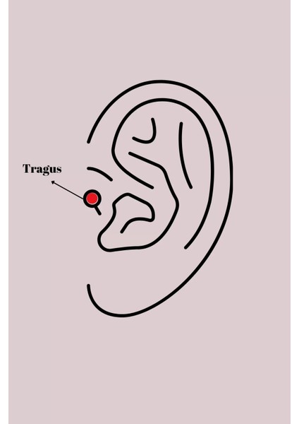 316L Çelik Gümüş Renk Pembe Zirkon Taşlı Kelebek Model Tragus Piercing fiyatları