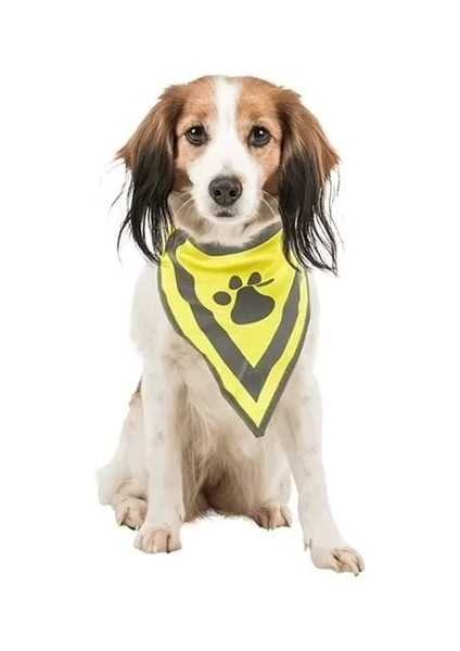 Köpek Bandanalı Tasma Small 22-28 cm