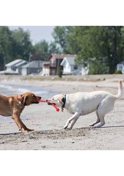 Safestix Termoplastik Köpek Oyuncağı Large 71 cm