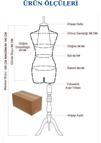 Pantolon Giyebilen 36 Beden Iğne Batabilen Süngerli Terzi Mankeni Vitrin Mankeni Prova Mankeni Pa-01 fiyatları