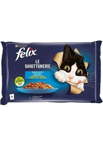 Taze Somonlu Jöleli Pouch Yetişkin Yaş Kedi Maması 4X85 gr