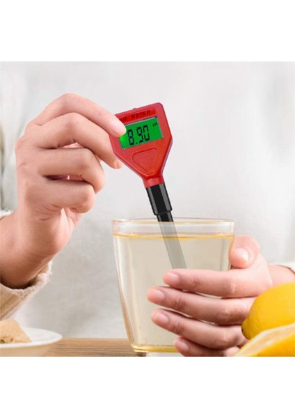 Toprak Test Cihazı Dijital Ph Ölçerler - Taşınabilir Asitlik Toprak Ph Ölçer (Yurt Dışından)