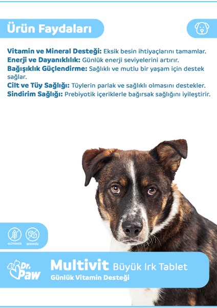 - Multivit Plus Büyük Irk Köpekler için Günlük Vitamin Takviyesi Çiğnenebilir Tablet (60 adet, 120 gr)