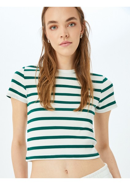 Basic Çizgili Bisiklet Yaka Kısa Kollu Kaşkorse Slim Fit T-Shirt