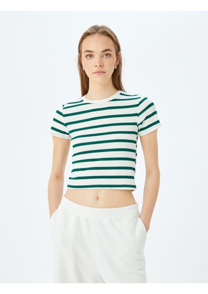 Basic Çizgili Bisiklet Yaka Kısa Kollu Kaşkorse Slim Fit T-Shirt modelleri