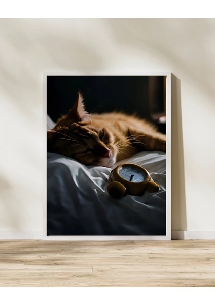 Çerçeveli, Sleepy Cat 2'li Çerçeveli Poster, Yatak Odası Dekoratif Tablo, Pinterest Tarzı Tablo