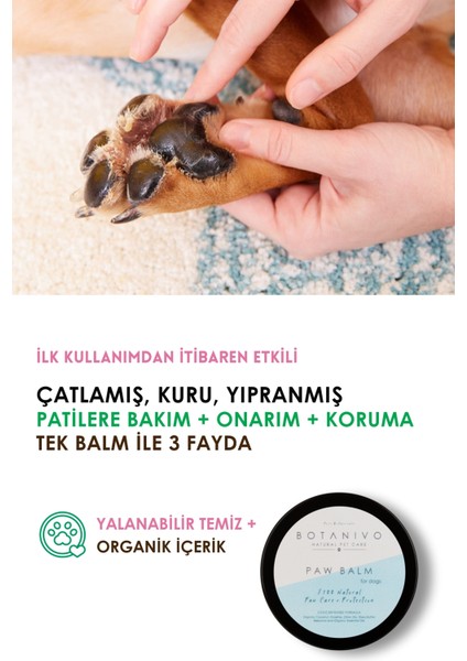 Köpekler İçin Hassas Şampuan ve Pati Balm Seti | Yumuşak Parlak Tüyler & Bakımlı Patiler | Organik