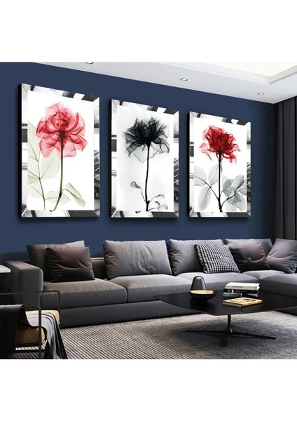 Renkli Gül Çizim Gümüş Pleksi Kenar 3'lü Mdf Tablo Seti