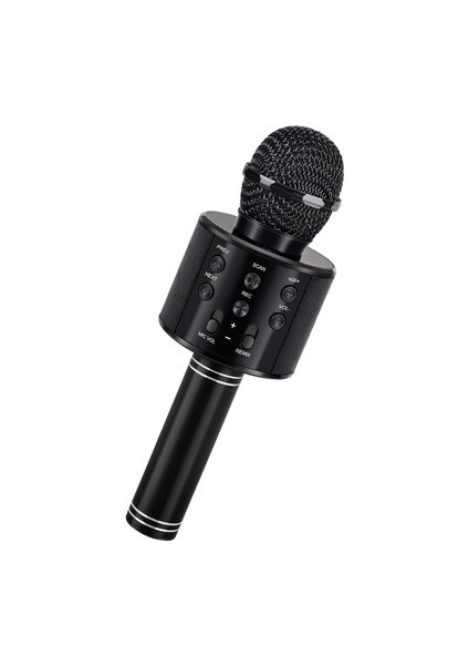 Kareoke Mikrofon   C-8501