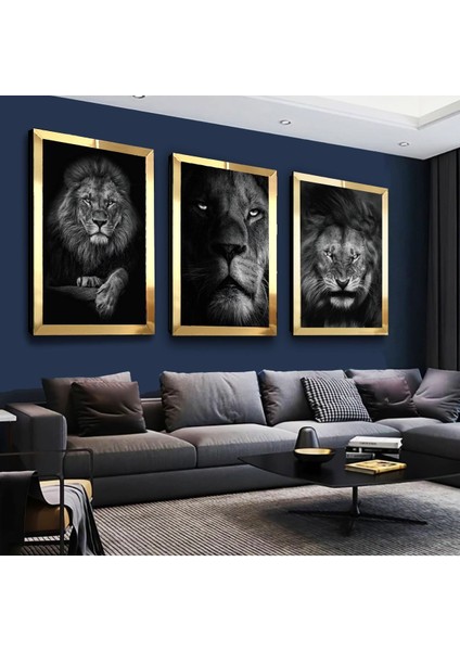 Ormanlar Kralı Aslan Gold Pleksi Kenar 3'lü Mdf Tablo Seti