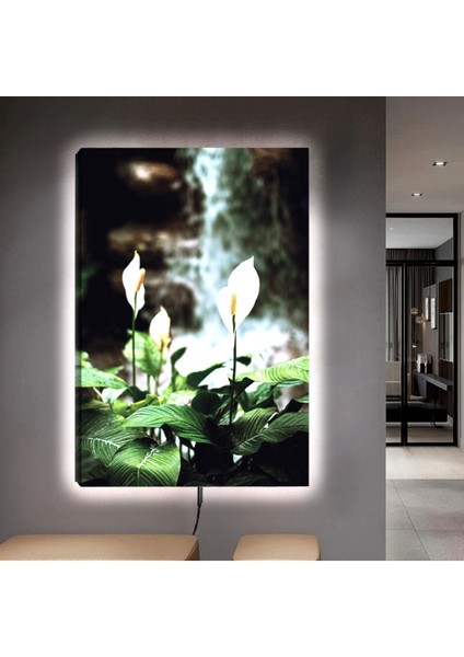 Ledli 90x60 Beyaz Çiçek Kanvas Tablo