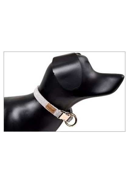 G-Dog Köpek Boyun Tasması Açık Gri Small 15 mm 19-30 cm