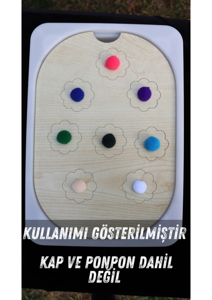 Montessori Duyusal Tepsi fiyatları