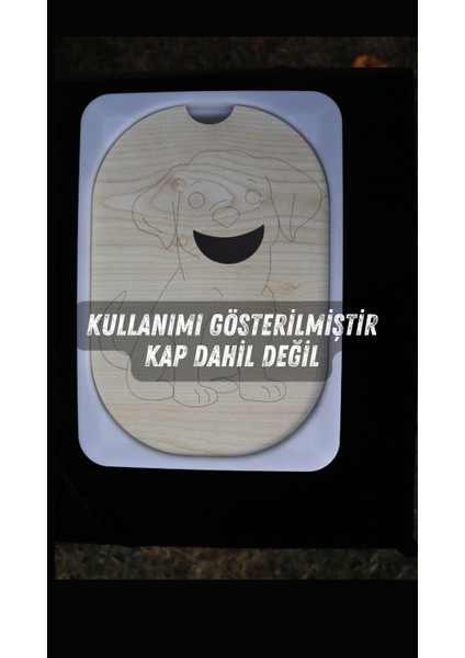 Montessori Duyusal Tepsi fırsatları