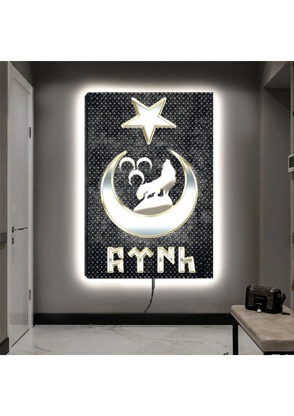 Ledli 90x60 Göktürkçe Türk Kanvas Tablo