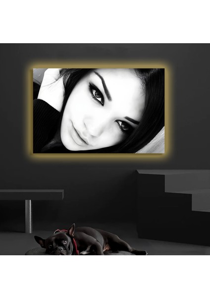 LED Işıklı Kanvas Tablo, 3D Dekoratif Baskılı Tablo Yapay Zeka Destekli Modern Tasarımlar 247 fiyatları