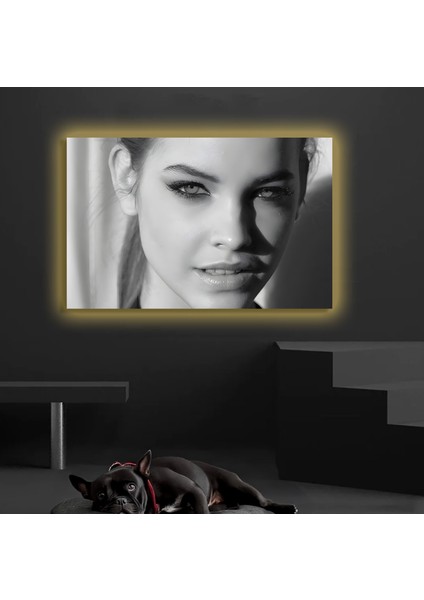 LED Işıklı Kanvas Tablo, 3D Dekoratif Baskılı Tablo Yapay Zeka Destekli Modern Tasarımlar 63 fiyatları