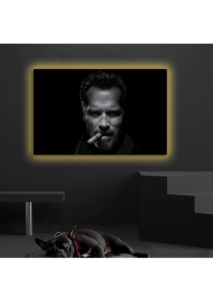 LED Işıklı Kanvas Tablo, 3D Dekoratif Baskılı Tablo Yapay Zeka Destekli Modern Tasarımlar 151 fiyatları