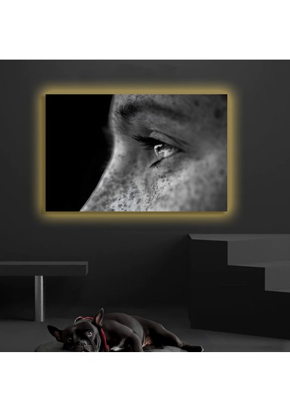 LED Işıklı Kanvas Tablo, 3D Dekoratif Baskılı Tablo Yapay Zeka Destekli Modern Tasarımlar 523 fiyatları