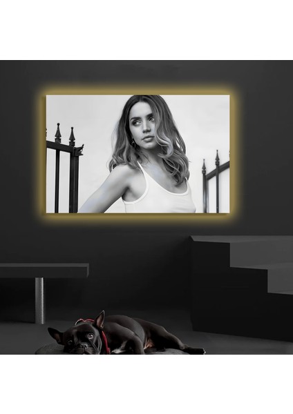 LED Işıklı Kanvas Tablo, 3D Dekoratif Baskılı Tablo Yapay Zeka Destekli Modern Tasarımlar 43 fiyatları