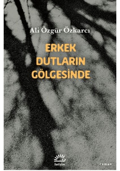 Erkek Dutların Gölgesinde - Ali Özgür Özkarcı