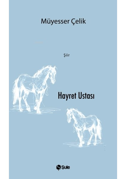 Hayret Ustası - Müyesser Çelik